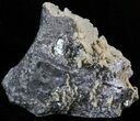 Galena, Calcite and Sphalerite Association - Bulgaria #41765-1